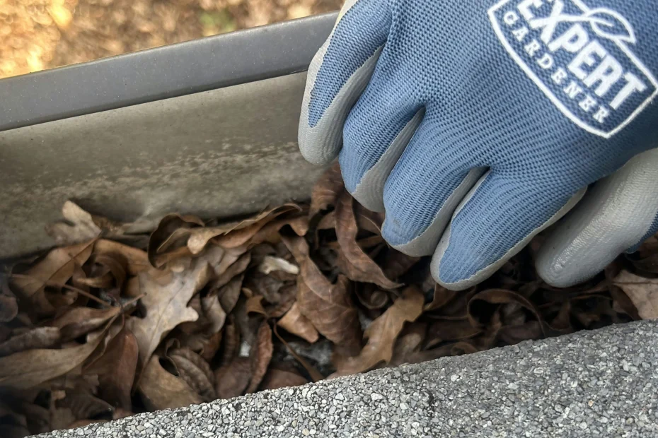 Gutter Cleaning South Euclid