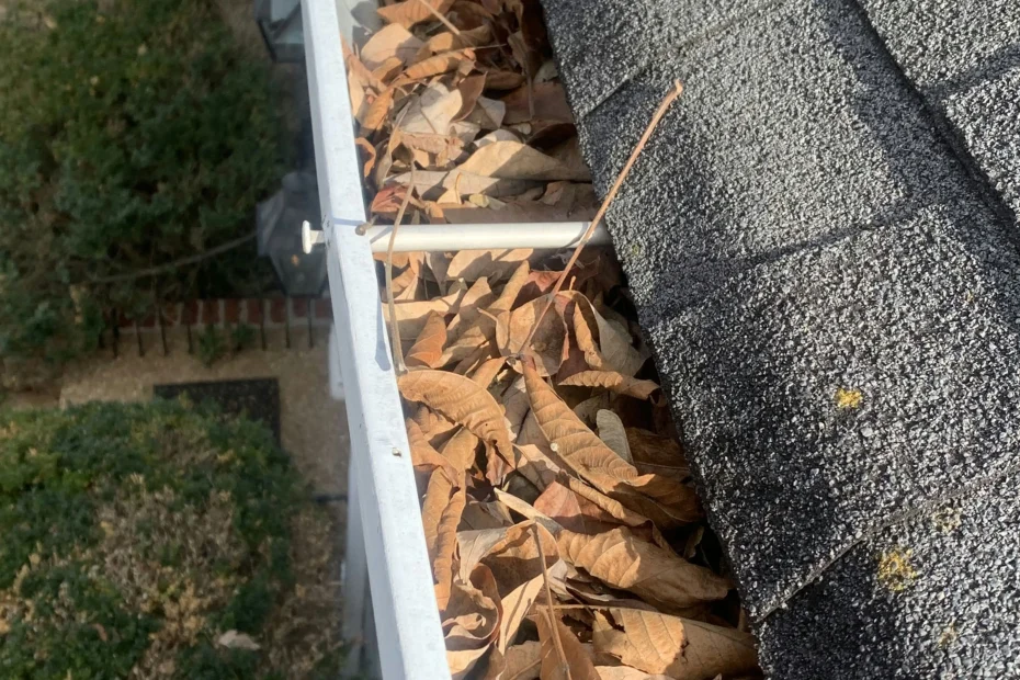 Gutter Cleaning South Euclid