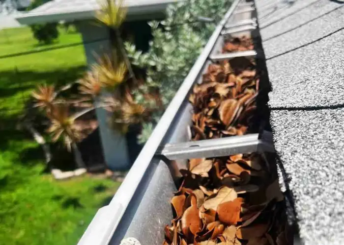 Gutter Cleaning South Euclid home page